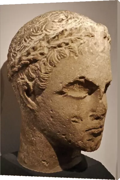 Head of a young man, Greek circa 300-30BC. Excavated at Salamis in Greece