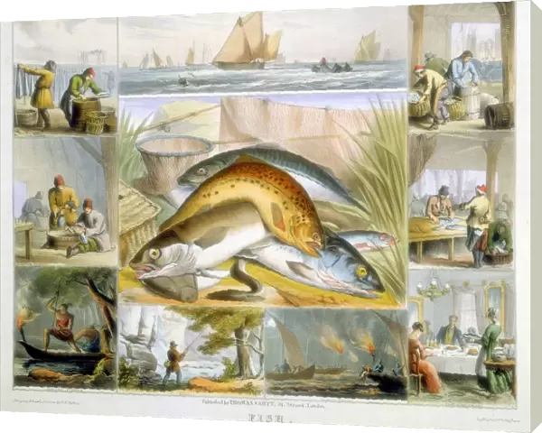 Fish: Anchovies, Mackerel, Cod, Isinglass (from Sturgeon), Preserving, Herring, Marketing