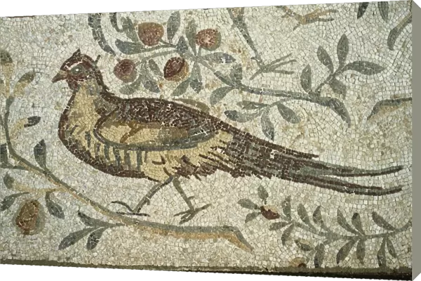Tunisia, Carthage, Roman mosaic, bird