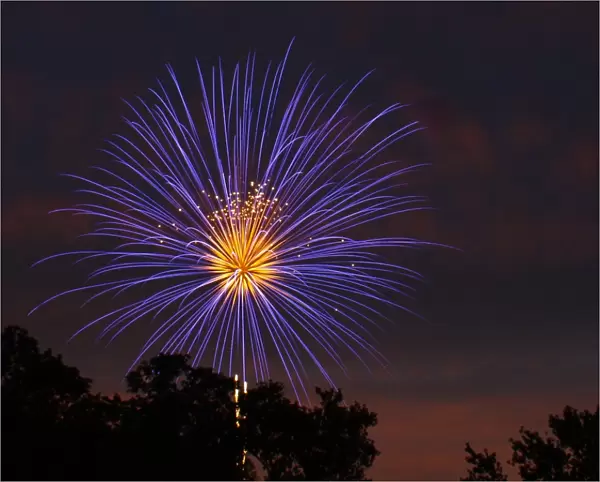 Big Bang. A purple explosion on the fourth of July