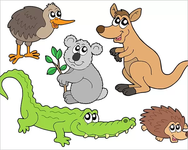 Australian animals collection - isolated illustration