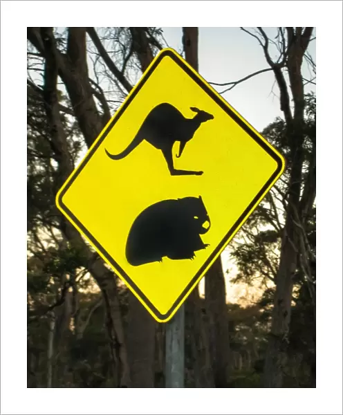 Road sign with a kangaroo and a wombat in Tasmania