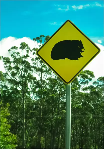 Wombat road sign in Tasmania