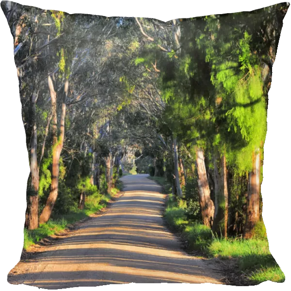 A rural road near Bairnsdale, Victoria, Australia