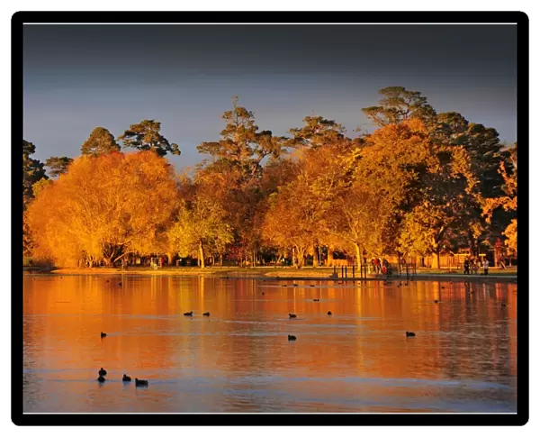 Lake Wendouree dawn in Autumn, Victoria, Australia