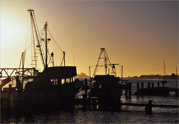 Fishing boats at Dawn, Batemans bay, New South Wales, Australia
