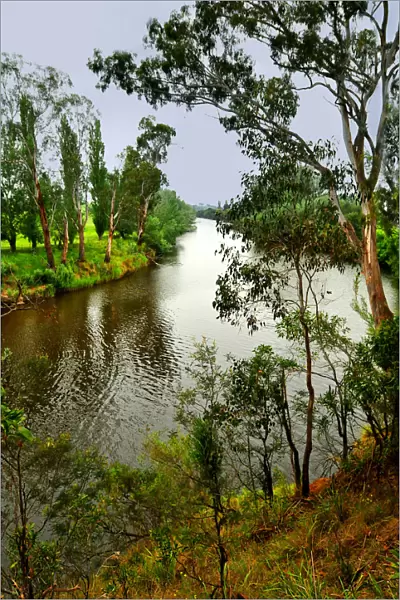 The Tambo river near Bairnsdale, East Gippsland, Victoria