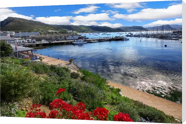 Simons Town, False Bay, Cape Peninsula, South Africa