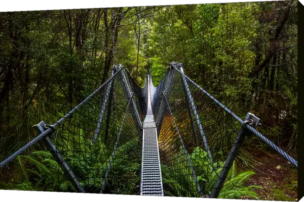 Bridge across Franklin River on the track to Frenchmans Cap, Franklin-Gordon Wild Rivers National Park, Tasmanis