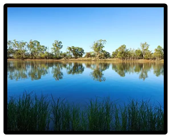 South Australia, Australian, Australia, river, Murray River, River Murray, water