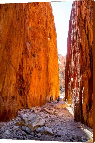 Australia, Alice Springs, Northern Territory, outback, Central Australia, red, sun