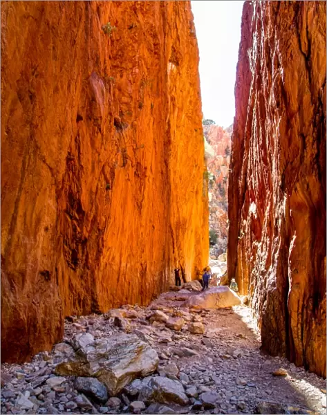 Australia, Alice Springs, Northern Territory, outback, Central Australia, red, sun