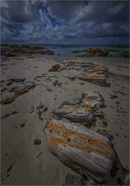 Remains of the Arrow, a shipwreck found on King Island, Bass Strait, Tasmania, Australia