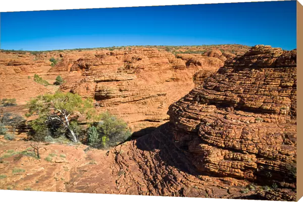 Beehive domes at Kings Canyon outback Australia