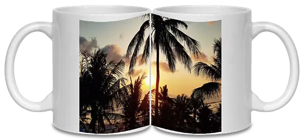Bali Sunset with Palm Silhouettes