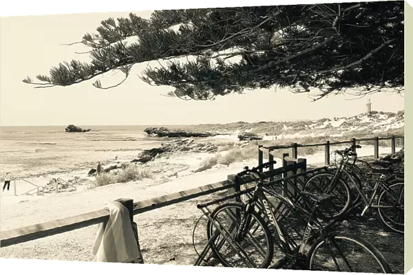 Rottnest Bikes Landscape