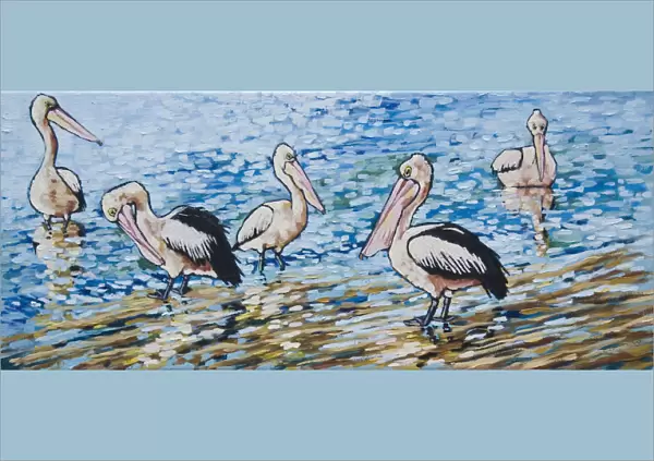 Australian Pelicans in Morning Sunshine Painting