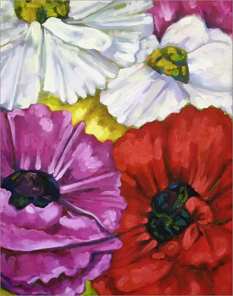 Rununculus Flowers Oil Painting