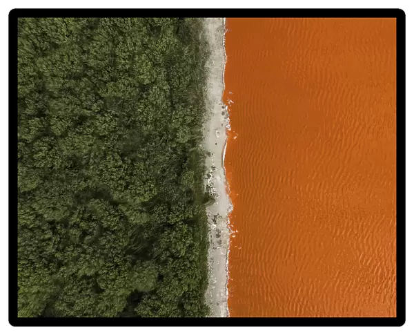 Composed drone image showing the edge of a forest and an orange coloured salt lake, South Australia, Australia