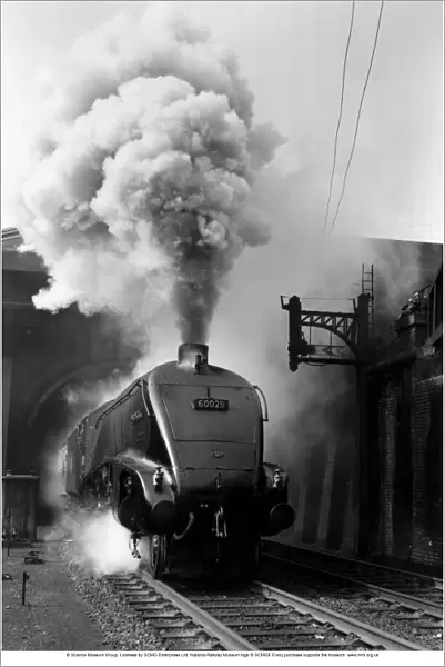 Woodcock, A4 Class steam locomotive No 60029, c 1954. Locomotive billowing smoke