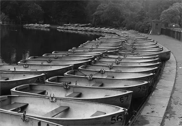 Battersea Boats Waiting to be Rowed