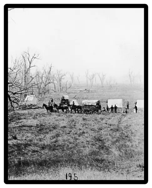 Gathering bodies at Little Big Horn site