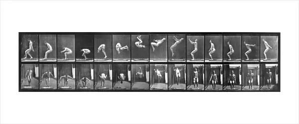 Acrobat. circa 1885: A photo-montage, by photographic pioneer Edweard Muybridge