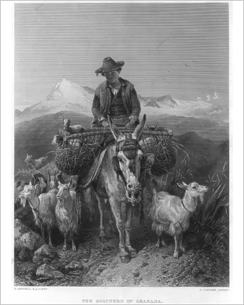 Goatherd. circa 1850: A Spanish goatherd from Granada on his donkey