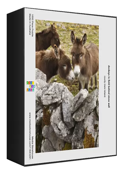 donkeys in field behind stone wall