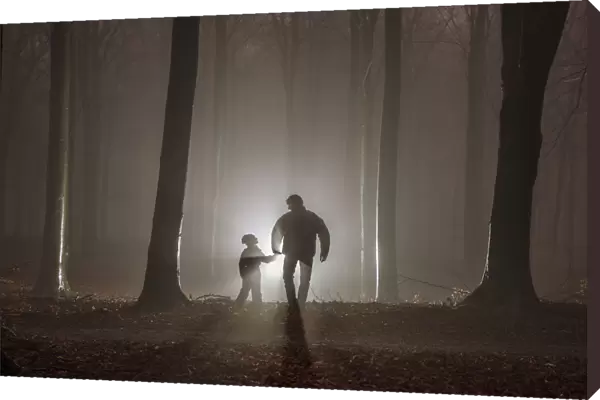 Father and son in misty forest