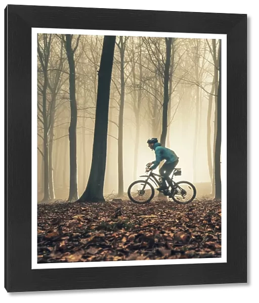 Mountain biker in misty forest