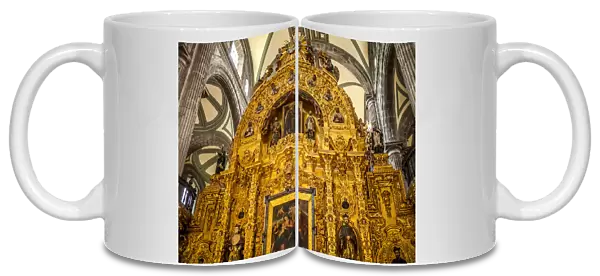 El seAnor del veneno (Our Lord of the Poison) Metropolitan Cathedral