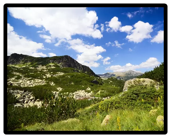 Summer landscape from Pirin national park