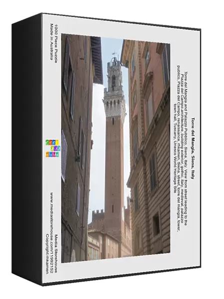 Torre del Mangia, Siena, Italy