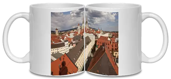 Rooftops of the historic centre with the clock tower of Old Town Hall and Regensburg Cathedral, Regensburg, Bavaria, Germany