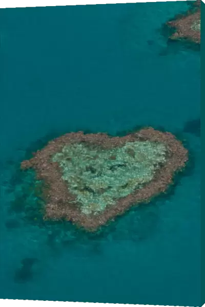 Aerial view, Heart Reef, Great Barrier Reef, UNESCO World Heritage Site, Queensland, Australia