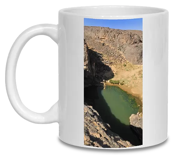 Guelta, waterhole at Dider Valley, Tassili n Ajjer National Park, Unesco World Heritage Site, Wilaya Illizi, Algeria, Sahara, North Africa