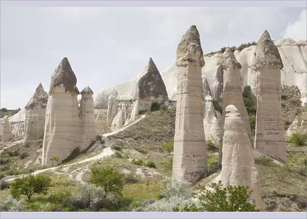 Tuff rock formations, Love Valley, Goreme, Cappadocia, Turkey