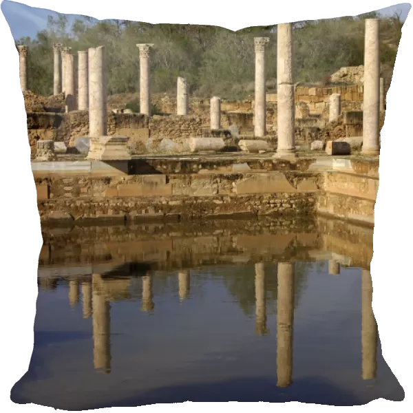 Hadrianic Baths, Leptis Magna, Roman Ruins, Libya