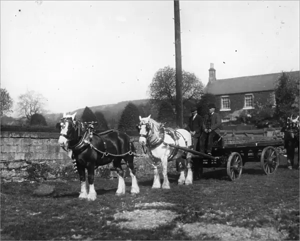 Horse And Cart