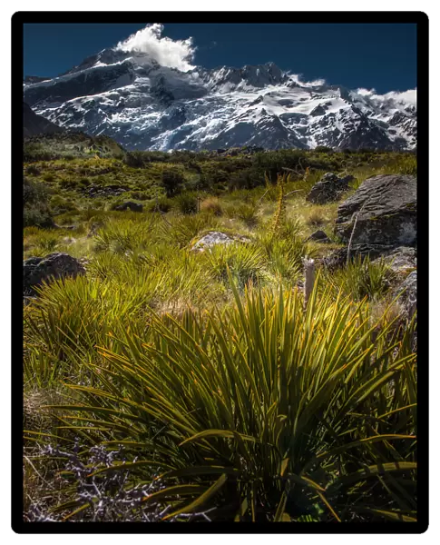 Newzealand trekking trail landscape