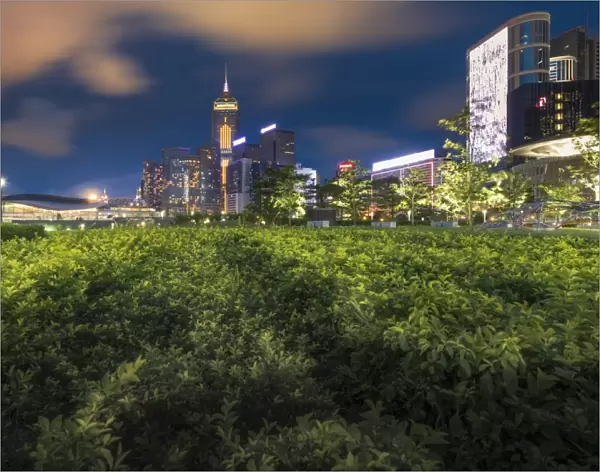 Hong Kong Central Business District with shrubs foreground