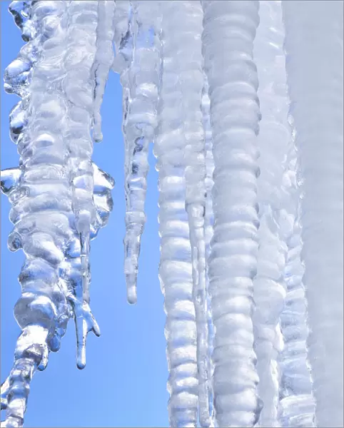 Ice cicles