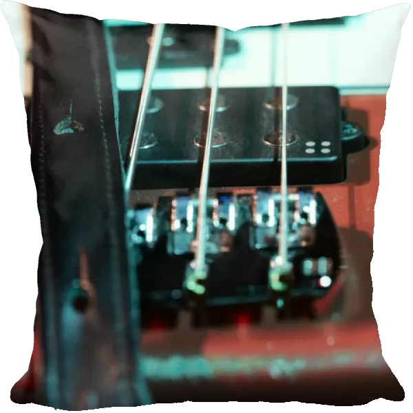 Detail of electric bass at a concert
