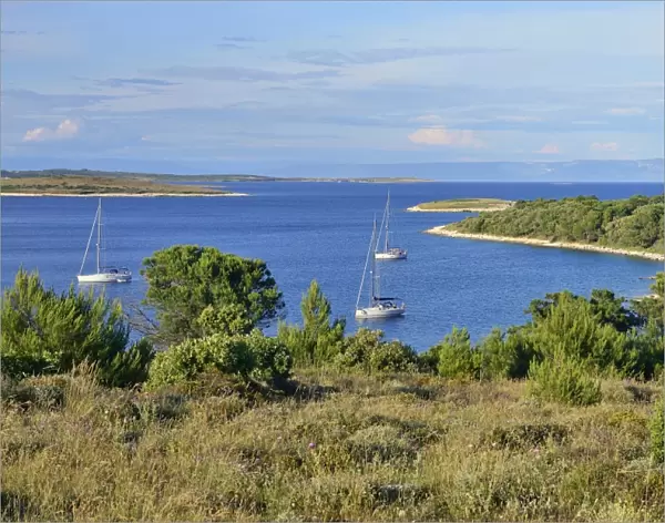 Yachts anchored in a bay, Cape Kamenjak, Premantura, Istria, Croatia