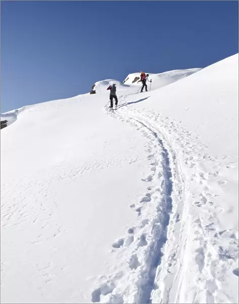 Snowshoers during the ascent to Uribrutto Mountain above the Passo Valles, Dolomites, Trentino, Italy, Europe