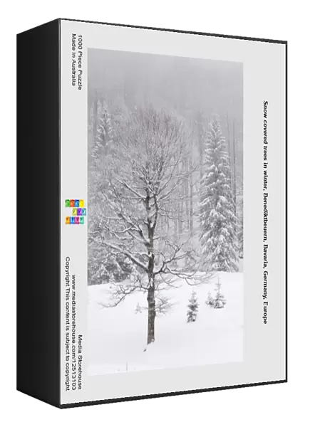 Snow covered trees in winter, Benediktbeuern, Bavaria, Germany, Europe