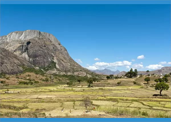 Landscape, terraced rice paddies of the Betsileo people with a large rocky mountain, Anja-Park near Ambalavao, Madagascar