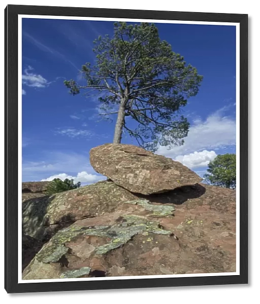 Rock formations in the Pinares de Rodeno Nature Reserve, Albarracin, Aragon, Spain