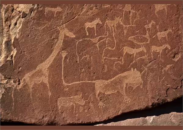 Rock carvings of the San people, Damaraland, Kunene Region, Namibia